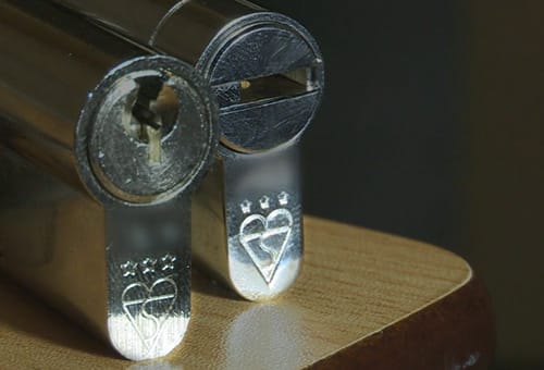 Two Anti Snap Lock Cylinders